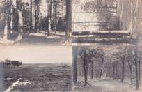 Lake District & Barrow In Furness Forest 8x Antique Postcard s
