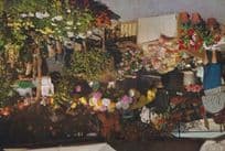 Lake Maggiore The Market Flower Markets Swiss Switzerland Postcard