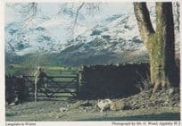 Langdale In Winter Cumbria Womens Institute Postcard