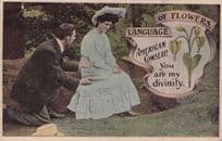 Language Of Flowers Cowslip Divinity Old Romance Postcard