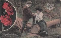 Language Of Flowers Deep Red Carnation Alas For My Poor Heart Romance Postcard