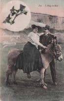Language Of Flowers Ivy I Cling To Thee Pony Ride Old Postcard