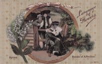 Language Of Flowers Spirea Bonds Of Affection Old Postcard