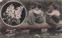 Language Of Flowers White Lilac Youthful Innocence Postcard