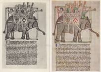 Latin 13th Century Elephant Bestiary British Museum 1970s 2x Postcard s