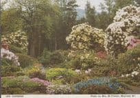 Lea Gardens Mayfield Derbyshire Womens Institute Postcard