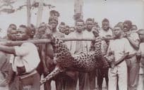 Leopard Animal Hunting Birmingham UK Published Old RPC Postcard