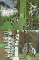 Lipica Mares Yugoslavia Horse Riding School 4x Postcard s
