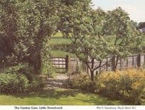 Little Dewchurch Country Garden Herefordshire Womens Institute Postcard