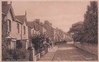 Little Lost Dog at Sea Road Abergele Welsh Old Postcard