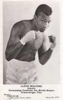 Lloyd Walford Jamaican Boxer 1960s Management Publicity Photo Card