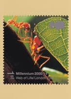 London Zoo Ants Lifting A Leaf Insect Limited Edition Postcard