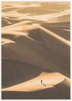 Lost In Sand Dunes Desert Footprints Disaster Golden Sunset German Postcard