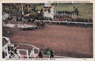 Lower California Jockey Club Mexico Horse Race Racing Postcard