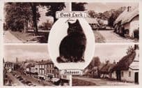 Lucky Black Cat Good Luck Andover Hampshire Old RPC Postcard