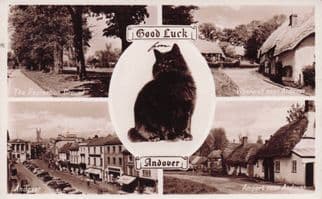 Lucky Black Cat Good Luck Andover Hampshire Old RPC Postcard