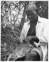 Luo Elder Tribe Man Making Basket Kenya African 10x8 Vintage Photo