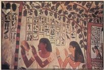 Luxor Nobles Tomb Of Sennefer Egyptian Postcard