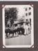 Madeira Cattle Transport Trip & Lady Wine Lodge Trader 2x Old Photo s