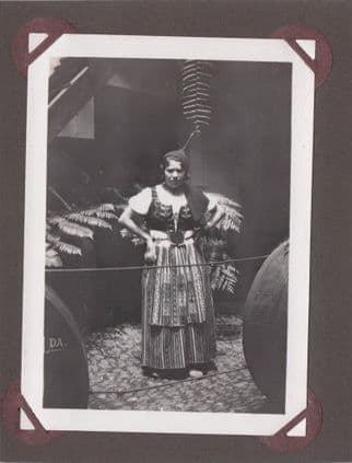 Madeira Cattle Transport Trip & Lady Wine Lodge Trader 2x Old Photo s