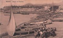 Madeira Fishing Sailing Boats in WW1 1914 Portugal Antique Postcard