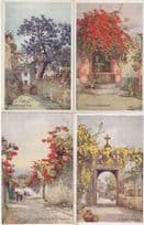 Madeira Jackaranda Tree 4x Flowers Old Postcard s