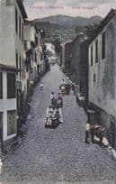 Madeira Mount Sledges Antique Portugal Funchal Postcard