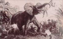 Malaya Elephant Killing Hunting Party Old WW1 Real Photo Postcard