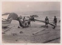 Malaya Fisherman In Penang Boats Original Malaysia Old Photo
