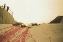 Man Possibly Killed Left For Death Car Accident Roadside Postcard