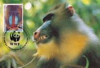 Mandrill Baboon Ape Wildlife Republica De Guinea Stamp FDC Postcard