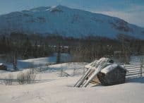 Matsdal Lappland Norway Postcard