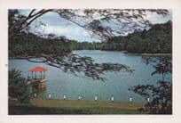 McRitchie Reservoir Singapore Kodak 35mm Chrome Original Postcard