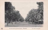 Moanda Belgium Congo African Mangulers Allee Old Postcard