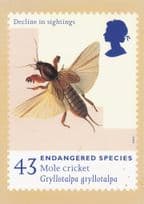 Mole Cricket Endangered Insect First Day Cover Postcard