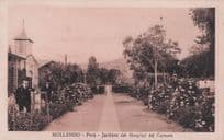 Mollendo Peru Chile Jardines Del Hospital Carmen Old Postcard