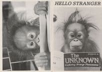 Monkey Reading Sci Fi Occuly Magazine 2x Comic Postcard s