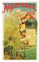 Montreux Chemin De Fer Territet Glyon Naye Swiss Railway Postcard
