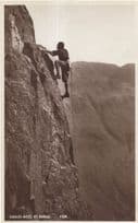 Mounting Climber Finds Birds Eagles Nest in Rocks Old Postcard