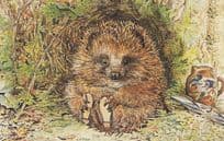 Mr Pricklepan Appley Dapply's Nursery Rhymes Beatrix Potter Postcard