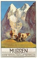 Murren Bergbahn Funiculaire Swiss Cattle 1925 Poster Postcard