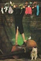 Musical Washing Line Viola Dirty Laundry Dutch Bass Dog Comic Postcard
