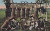 New York Animal Hunting Party Slaughter Birds Cattle Old USA Postcard