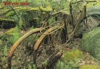 Norway Abandoned Bicycle Bike Cycle Norwegian Postcar