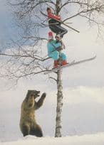Norway Grizzly Bear Attacking Skiers Norwegian Disaster Postcard