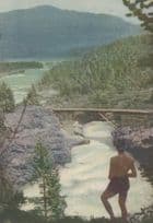 Norway Heidalen Swimmer By Bridge Old Postcard
