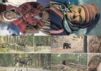 Norway Wild Deadly Animals & Sami Hunters 4x Norwegian Postcard s