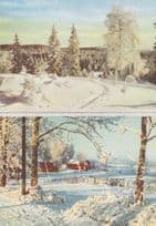 Norway Winter In The Lowlands Oslo Forests Postcard