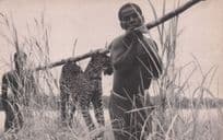 Old African Hunting Postcard Sent To French Doctor & Special Message