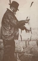 Old Fisherman Hanging Fish On Wire Fence Vintage Postcard